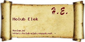 Holub Elek névjegykártya